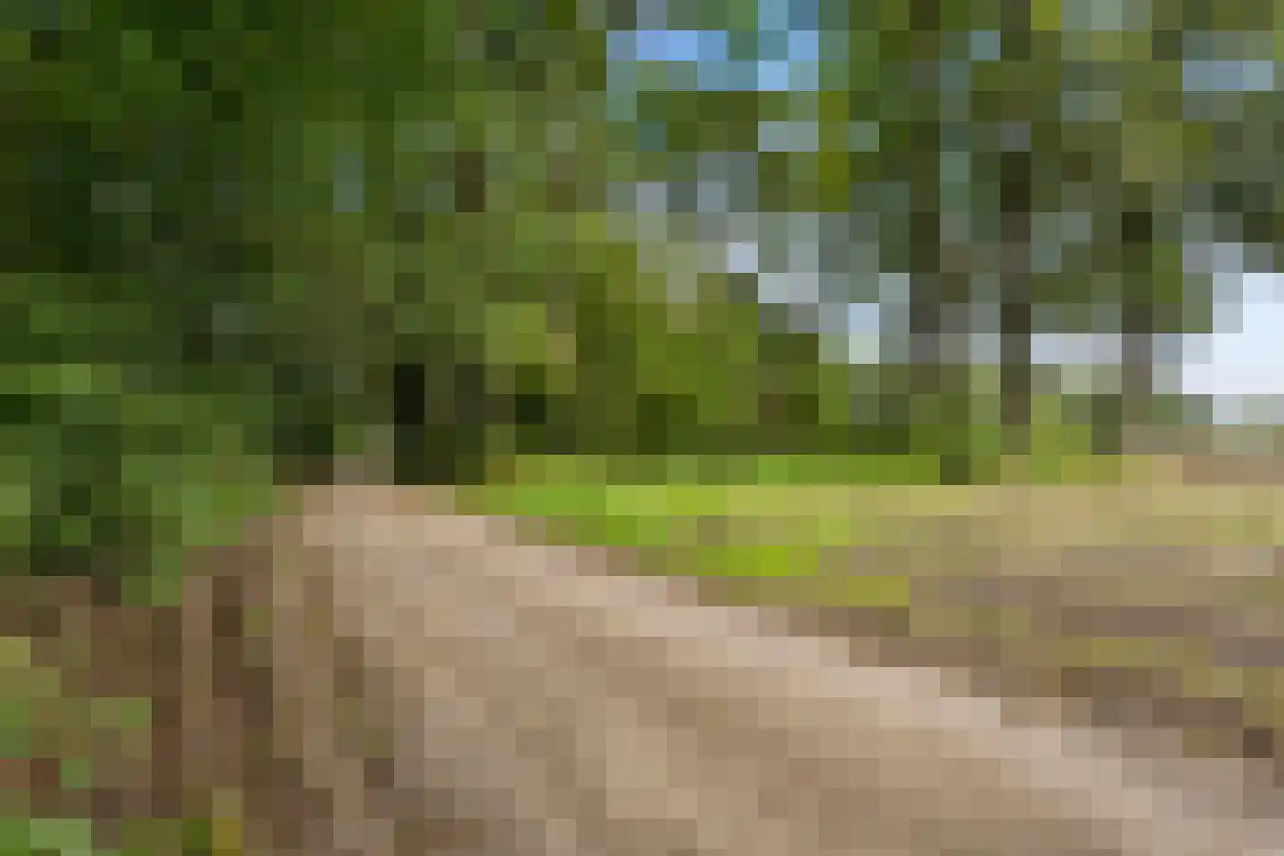 Iepenstraat 11 Eibergen thumbnail 60