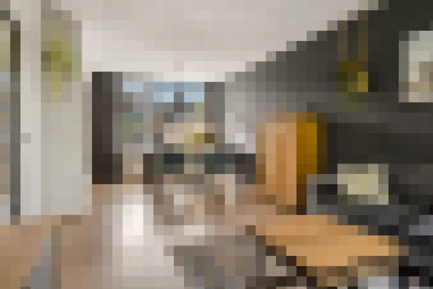 Iepenstraat 11 Eibergen thumbnail 9