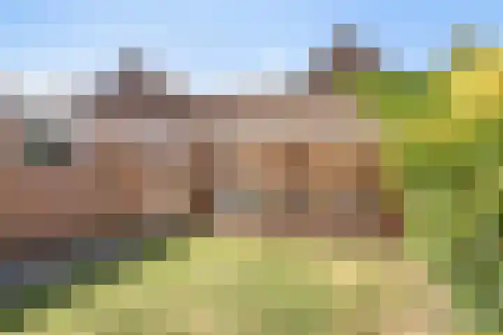 Iepenstraat 11 Oss thumbnail 15