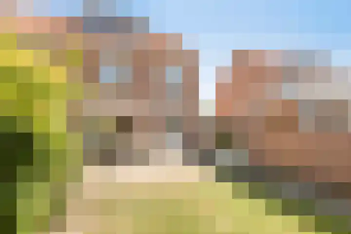 Iepenstraat 11 Oss thumbnail 16