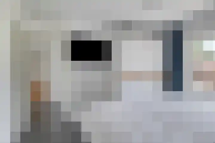 Iepenstraat 11 Oss thumbnail 20