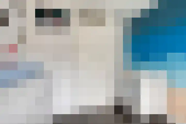Iepenstraat 11 Oss thumbnail 22