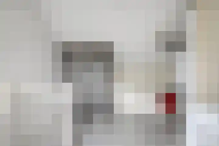 Iepenstraat 11 Oss thumbnail 28