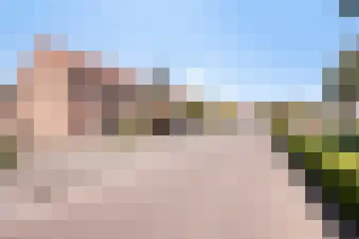 Iepenstraat 11 Oss thumbnail 34