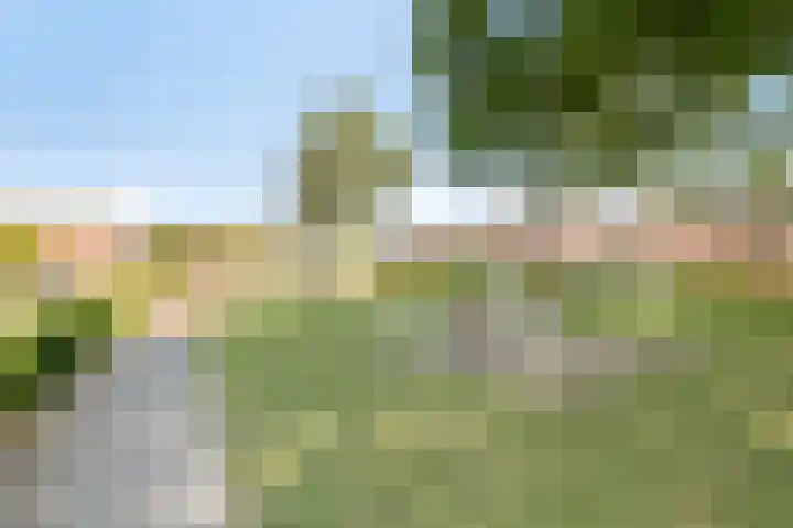 Iepenstraat 11 Oss thumbnail 35