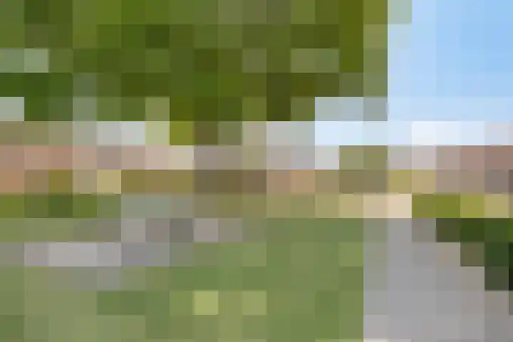 Iepenstraat 11 Oss thumbnail 36