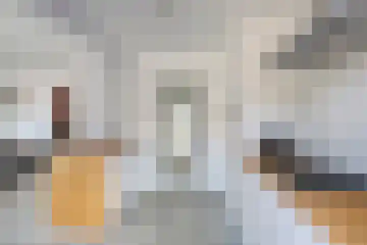 Iepenstraat 11 Oss thumbnail 7