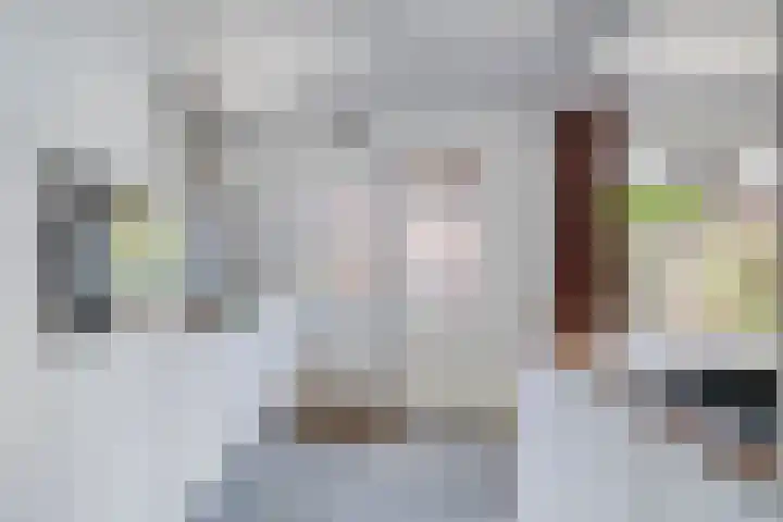 Iepenstraat 11 Oss thumbnail 9