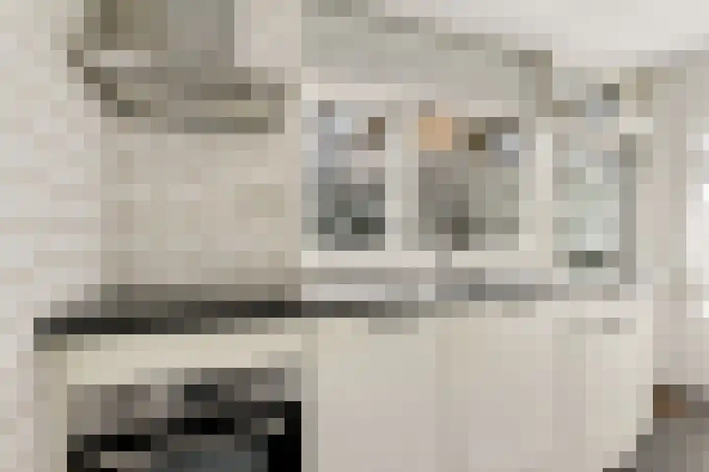 Iepenstraat 116 Zwolle thumbnail 12