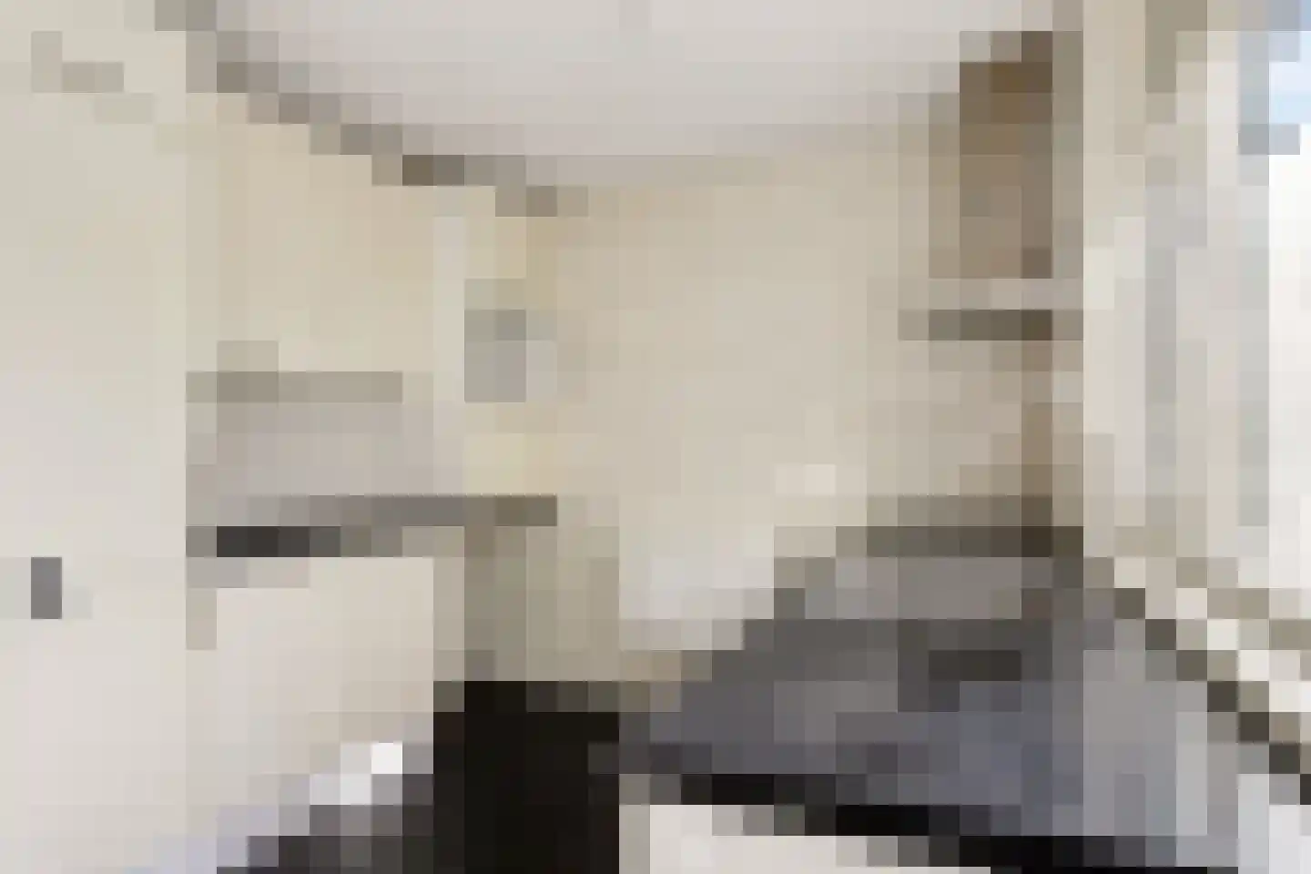 Iepenstraat 116 Zwolle thumbnail 13