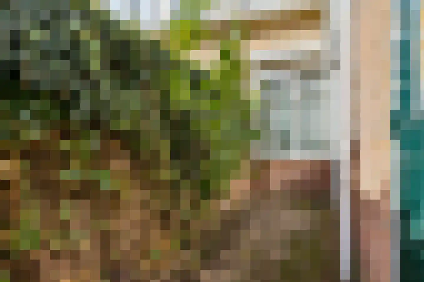 Iepenstraat 116 Zwolle thumbnail 32