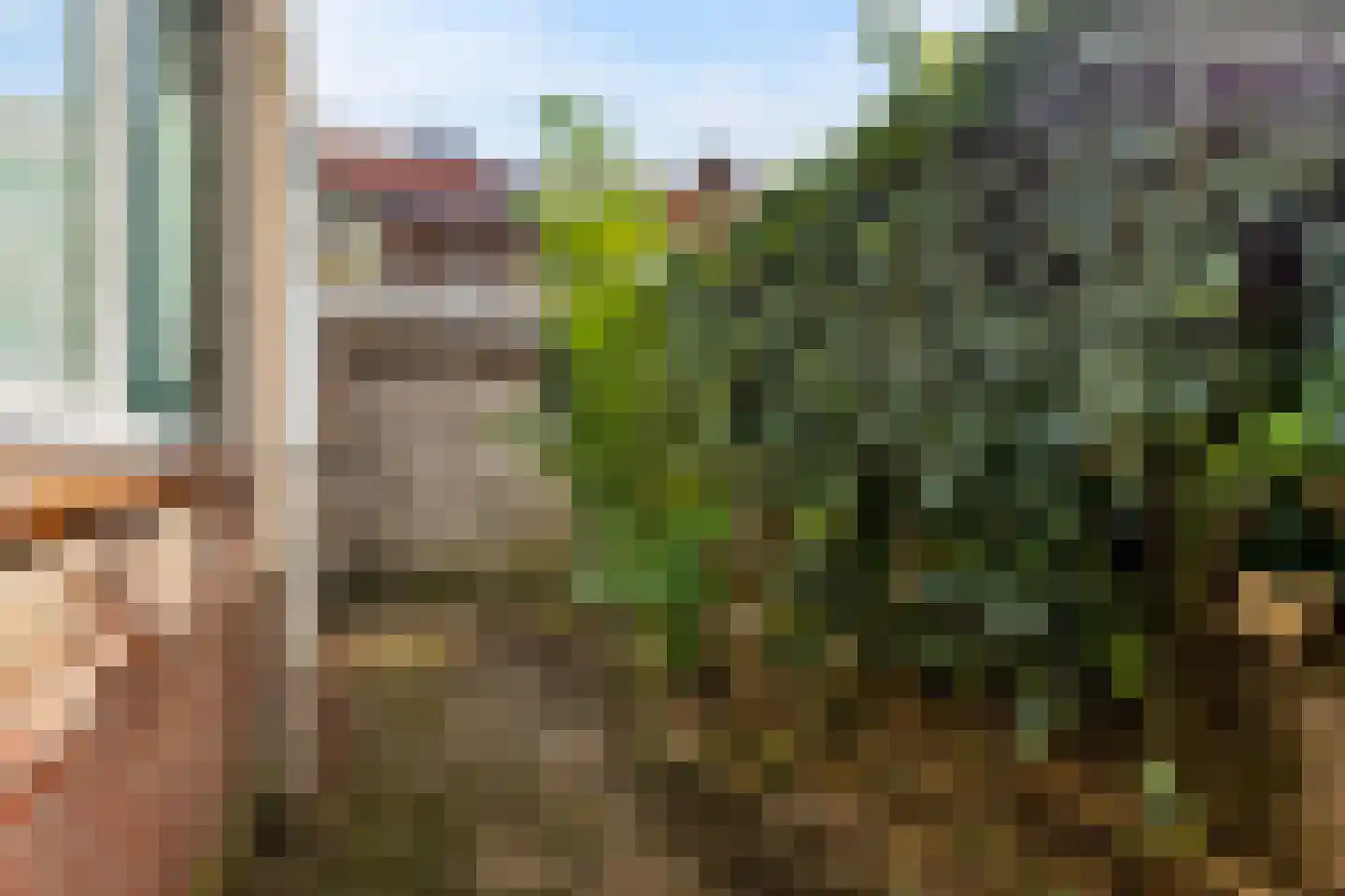 Iepenstraat 116 Zwolle thumbnail 34