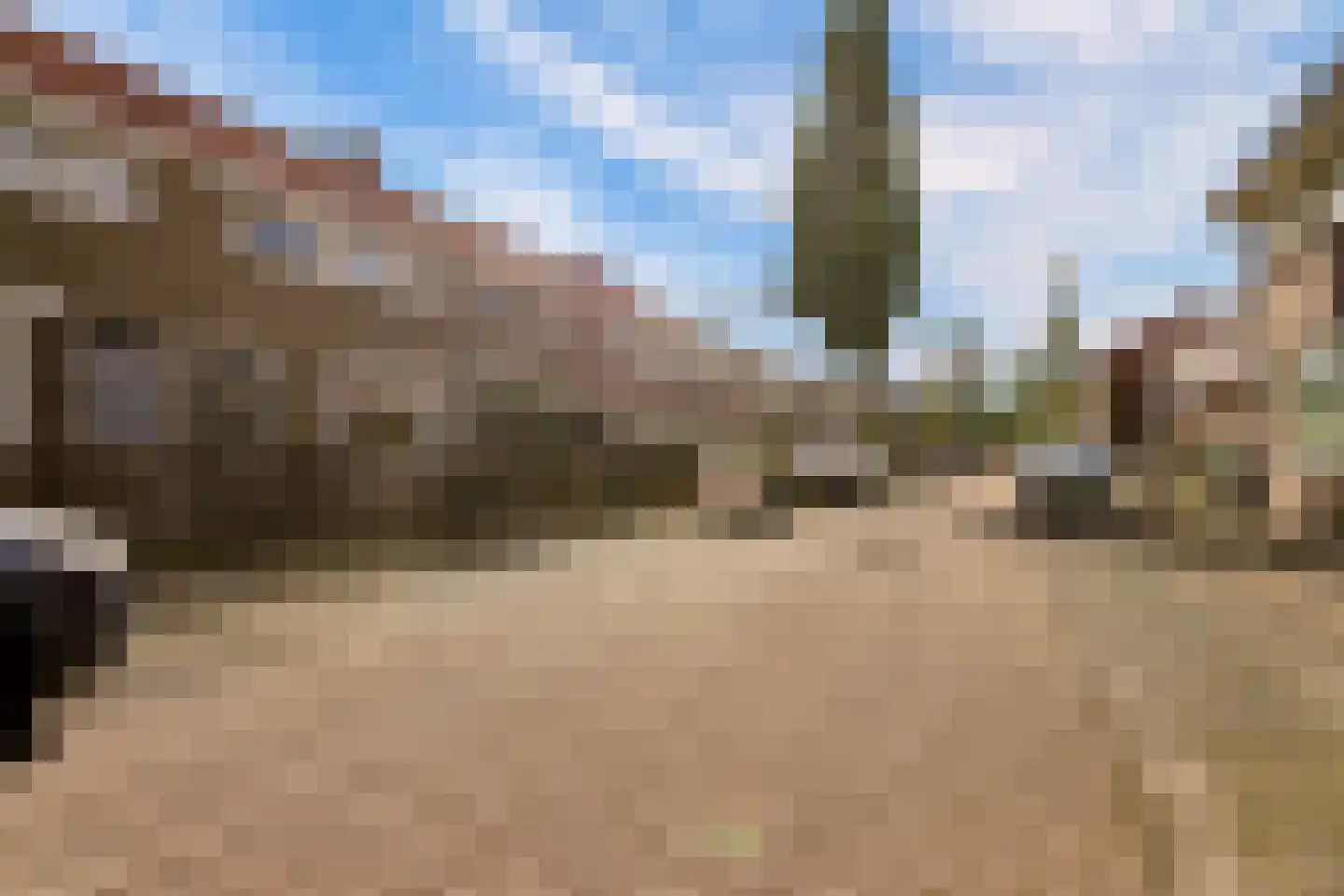 Iepenstraat 116 Zwolle thumbnail 36