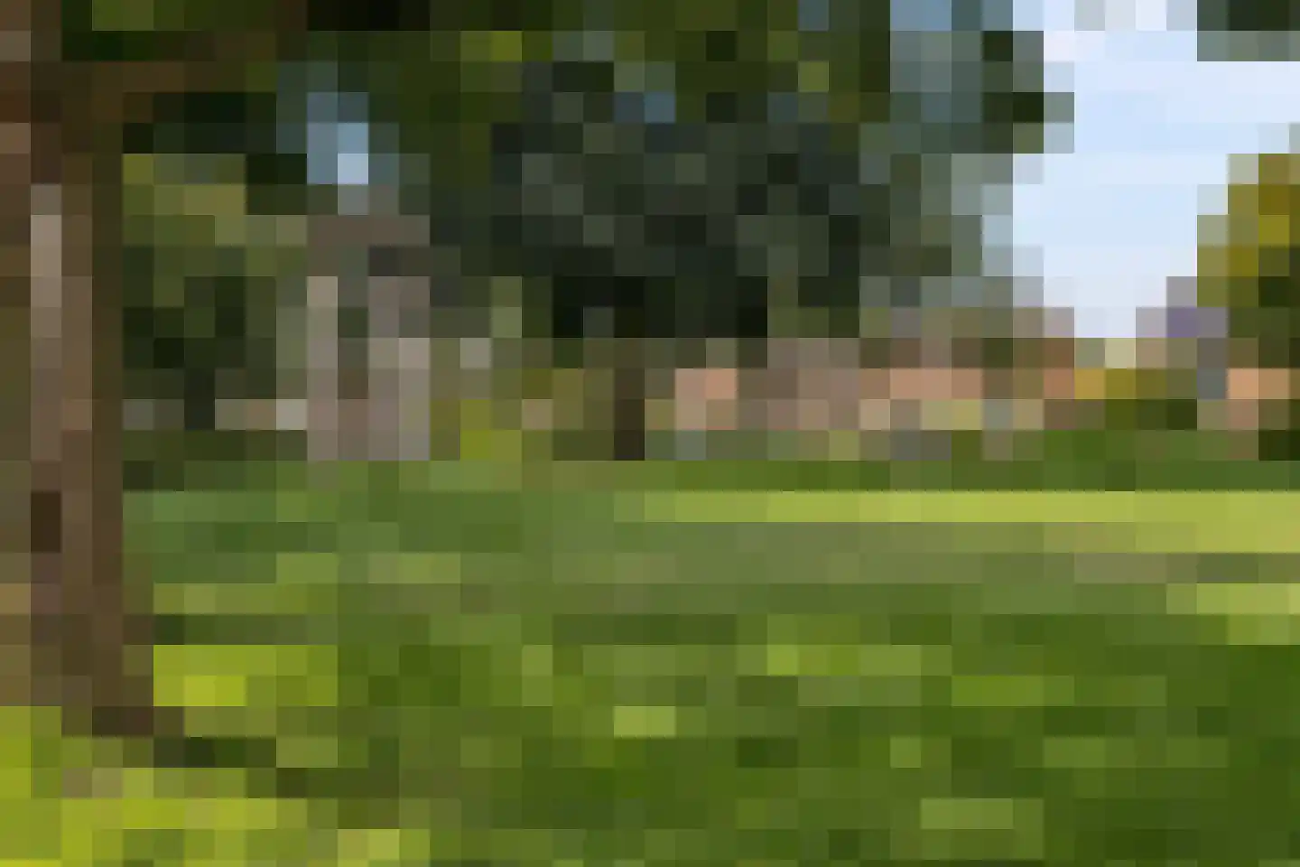 Iepenstraat 116 Zwolle thumbnail 37