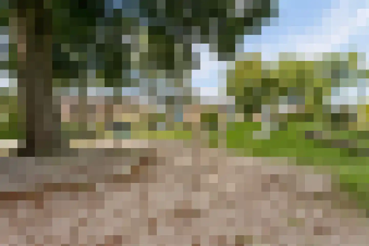 Iepenstraat 116 Zwolle thumbnail 39