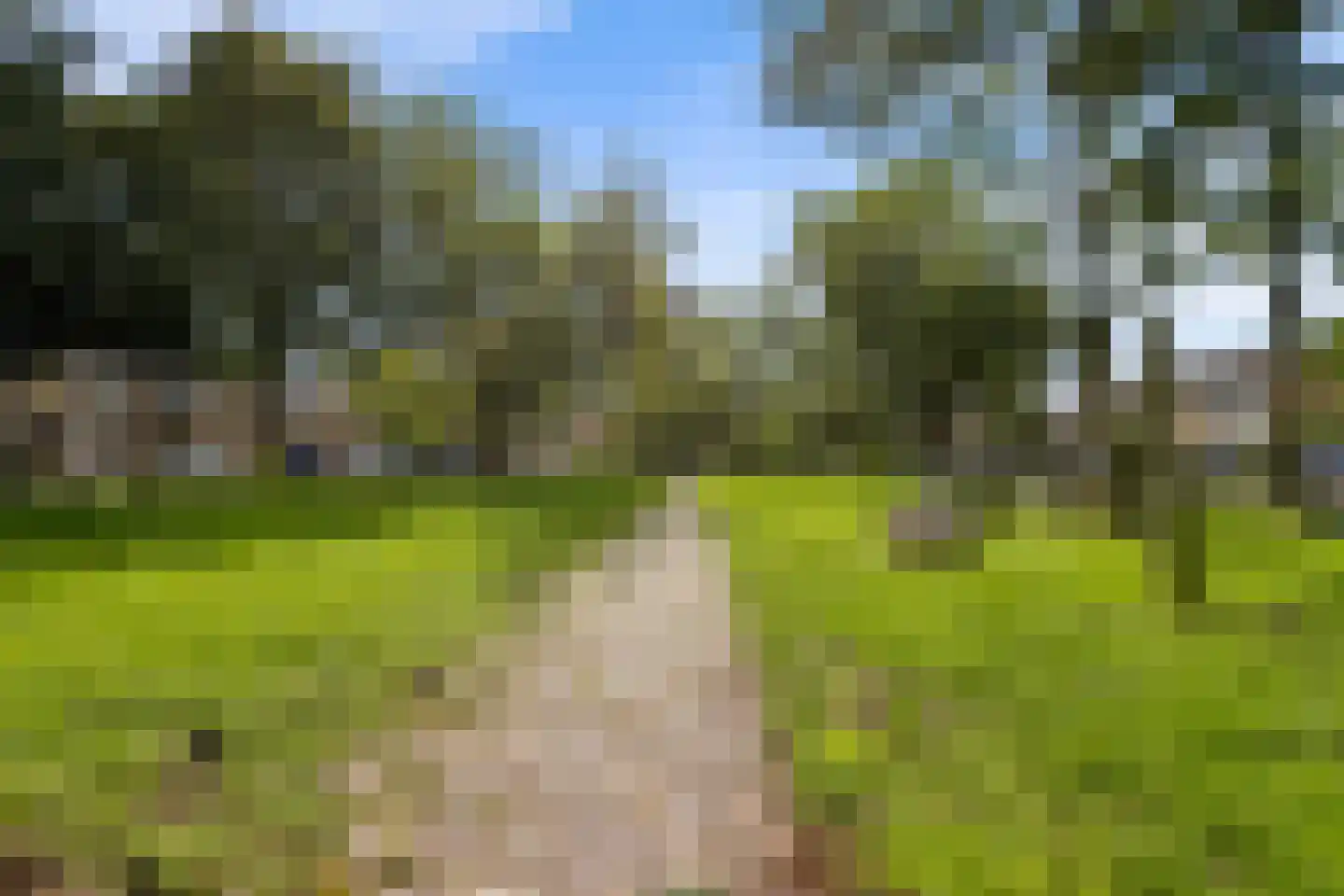 Iepenstraat 116 Zwolle thumbnail 41