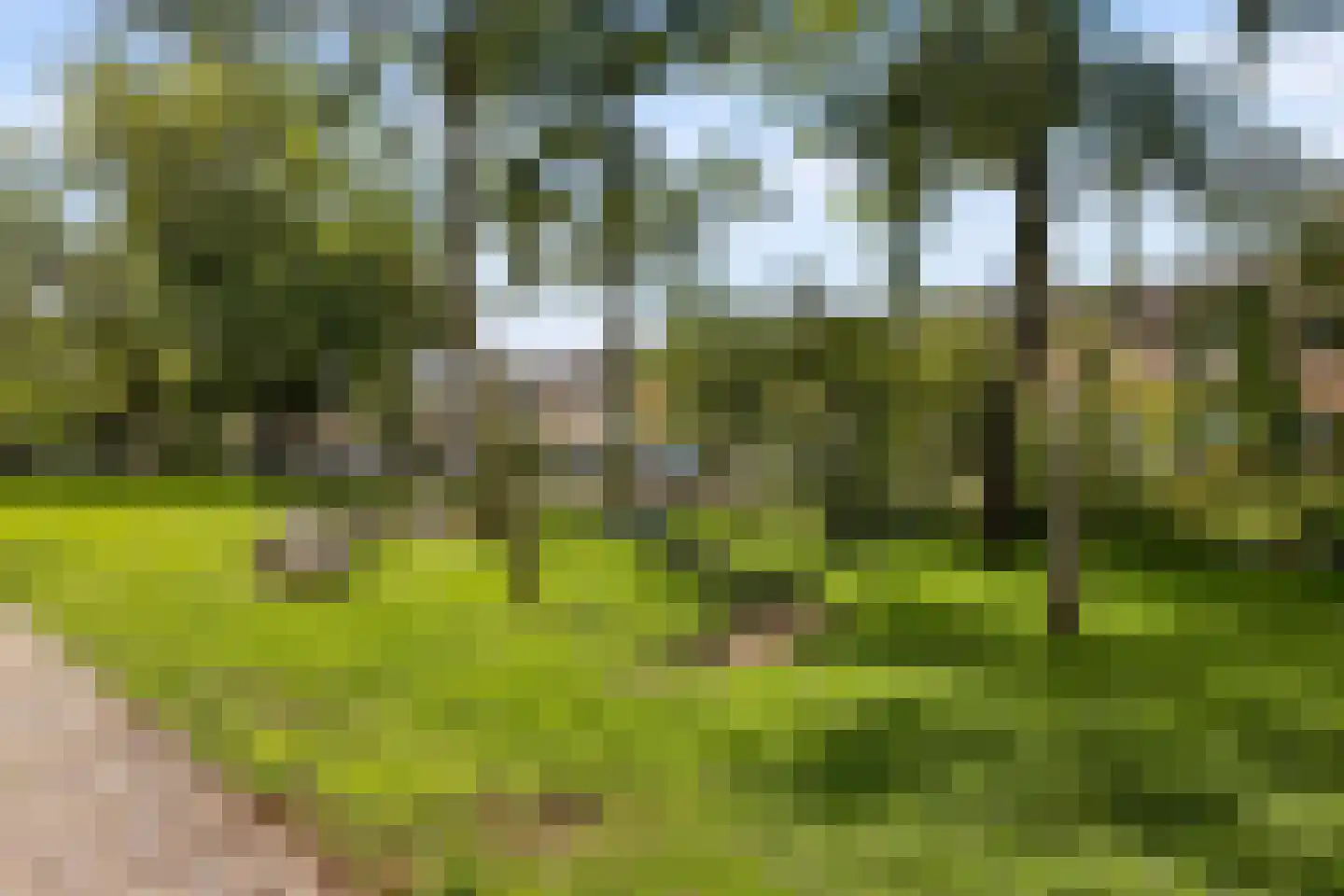 Iepenstraat 116 Zwolle thumbnail 5