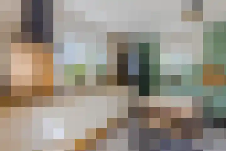 Iepenstraat 12 Krommenie thumbnail 15