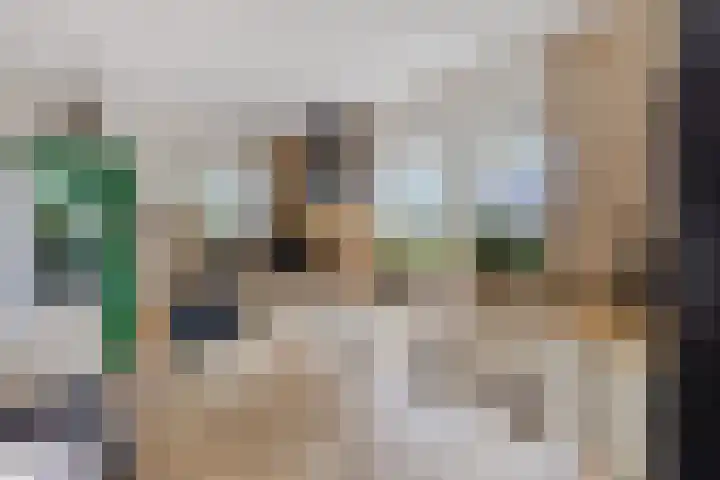 Iepenstraat 12 Krommenie thumbnail 16