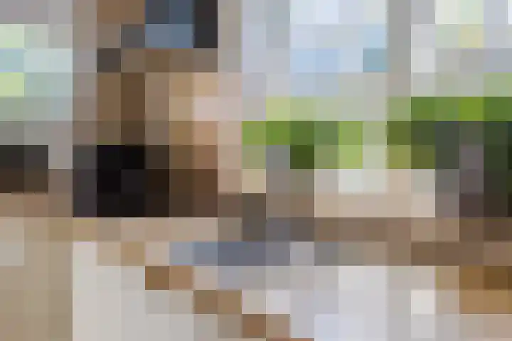 Iepenstraat 12 Krommenie thumbnail 18