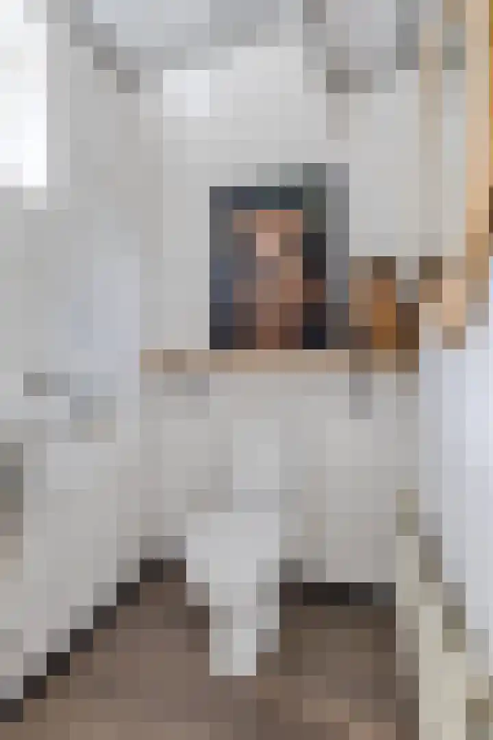 Iepenstraat 12 Krommenie thumbnail 21