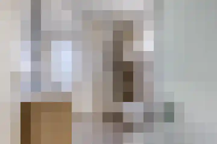 Iepenstraat 12 Krommenie thumbnail 26
