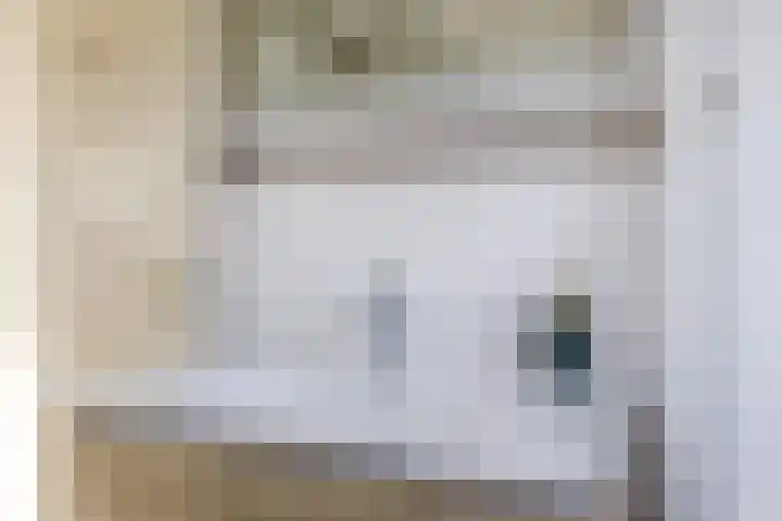 Iepenstraat 12 Krommenie thumbnail 27