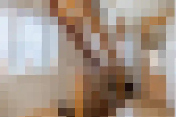 Iepenstraat 12 Krommenie thumbnail 30