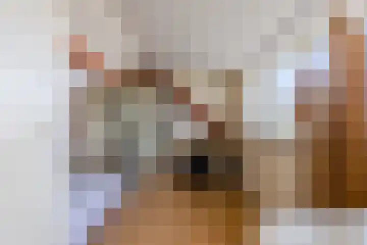 Iepenstraat 12 Krommenie thumbnail 31