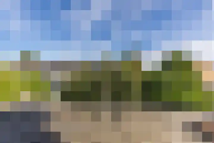 Iepenstraat 12 Krommenie thumbnail 34