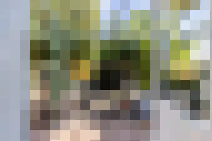 Iepenstraat 12 Krommenie thumbnail 36