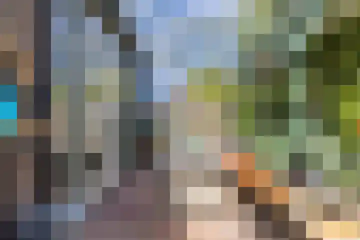 Iepenstraat 12 Krommenie thumbnail 38