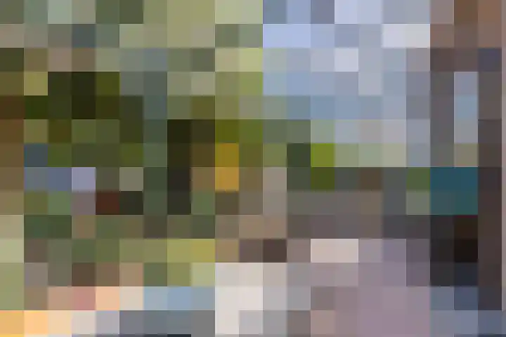 Iepenstraat 12 Krommenie thumbnail 39