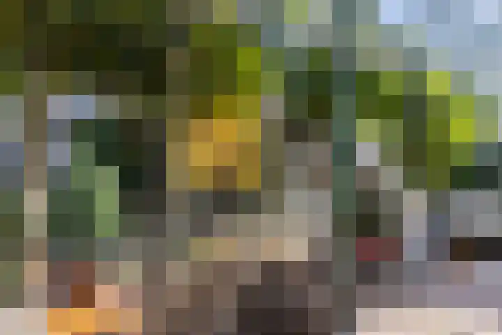 Iepenstraat 12 Krommenie thumbnail 40
