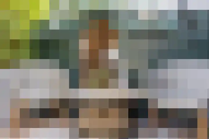 Iepenstraat 12 Krommenie thumbnail 41