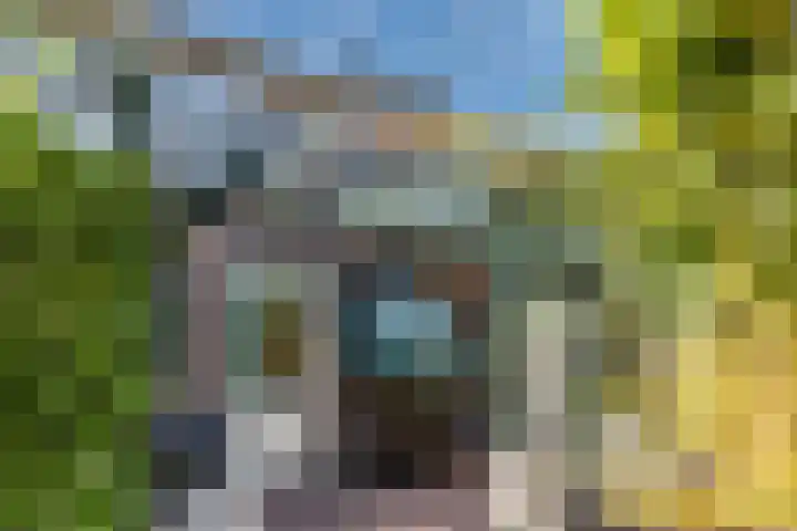 Iepenstraat 12 Krommenie thumbnail 42