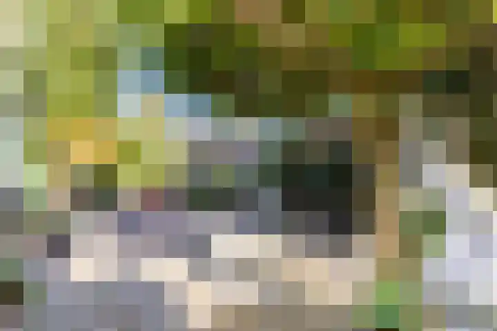 Iepenstraat 12 Krommenie thumbnail 43