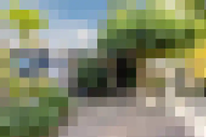 Iepenstraat 12 Krommenie thumbnail 44