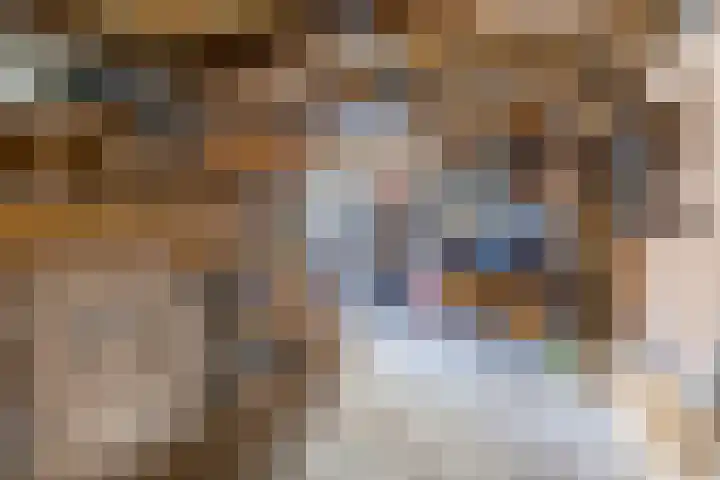 Iepenstraat 12 Krommenie thumbnail 47