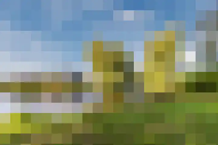 Iepenstraat 12 Krommenie thumbnail 49