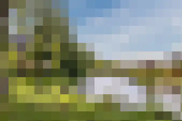 Iepenstraat 12 Krommenie thumbnail 50