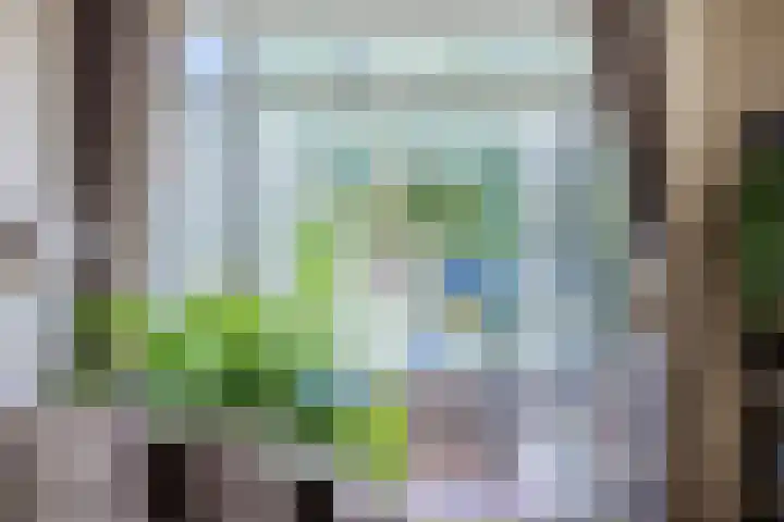Iepenstraat 12 Krommenie thumbnail 8