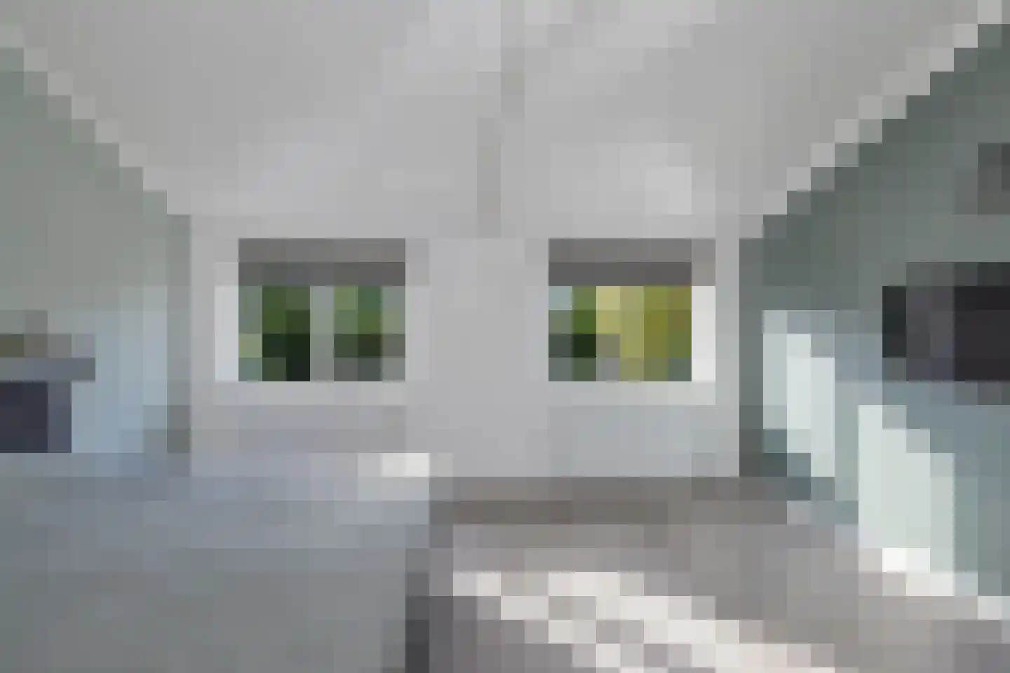 Iepenstraat 13 Winkel thumbnail 25