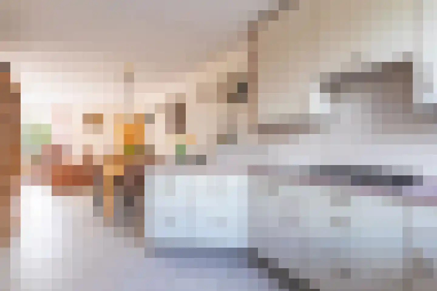 Iepenstraat 15 Winkel thumbnail 17