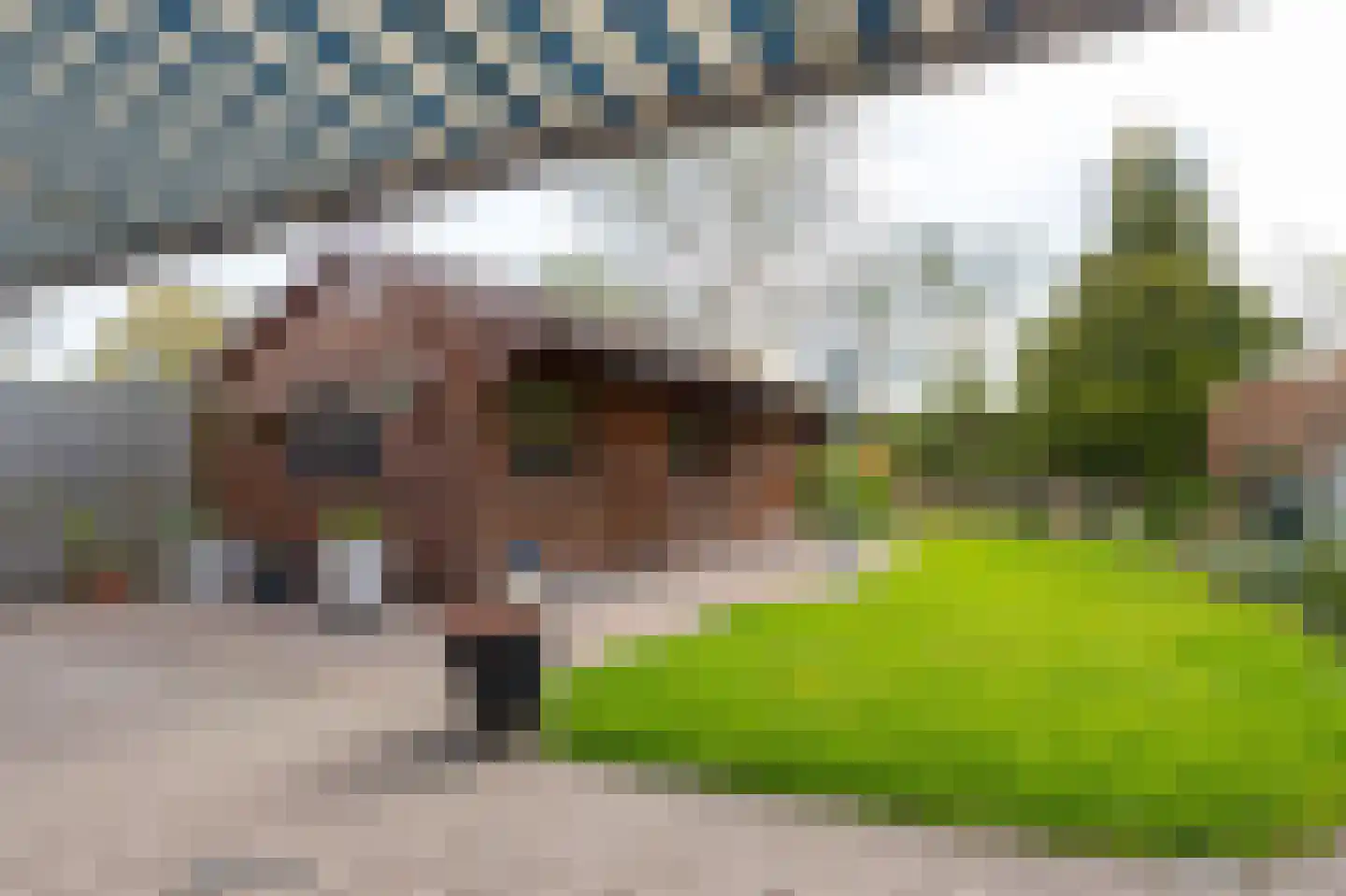 Iepenstraat 15 Winkel thumbnail 39