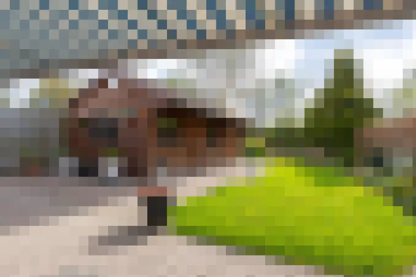 Iepenstraat 15 Winkel thumbnail 4