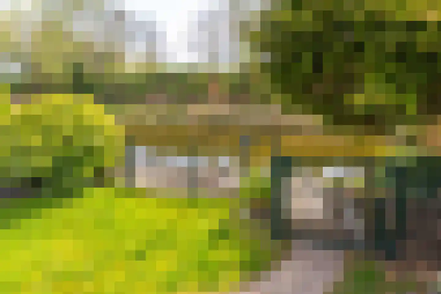 Iepenstraat 15 Winkel thumbnail 47