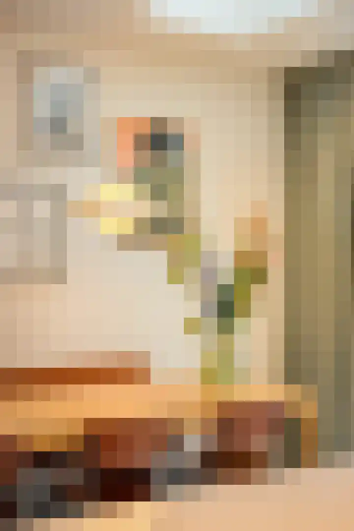 Iepenstraat 17 Haarlem thumbnail 14