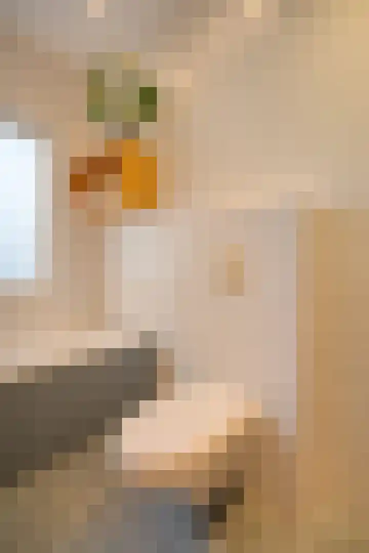 Iepenstraat 17 Haarlem thumbnail 31