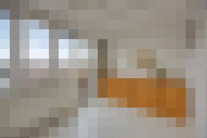 Iepenstraat 17 Haarlem thumbnail 36